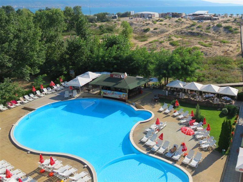 Delfin -